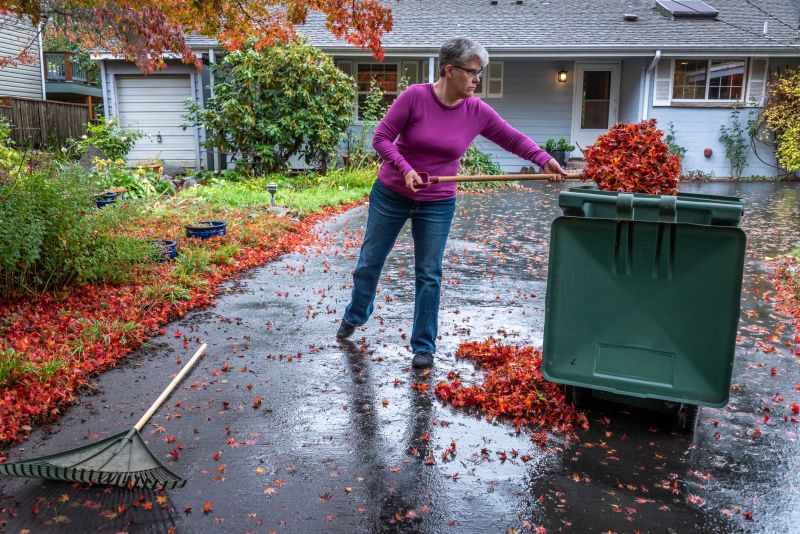 Leaf Removal in Action