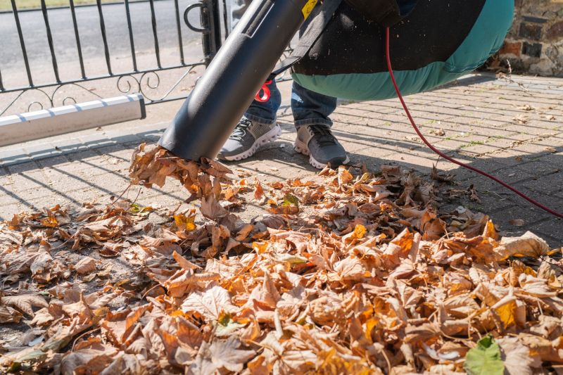 Fall Leaf Removal Gear