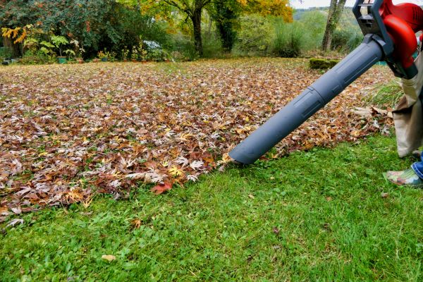 Leaf Vacuuming Service in Hattiesburg