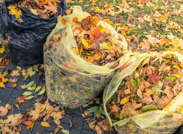 Yard Cleanup Service in Hattiesburg