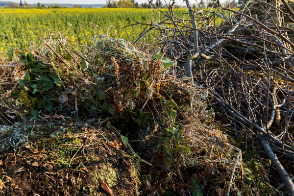 Brush Disposal in Hattiesburg