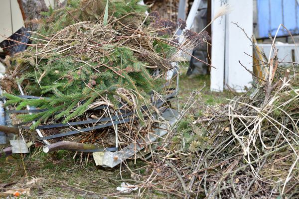 Yard Waste Removal Service in Hattiesburg