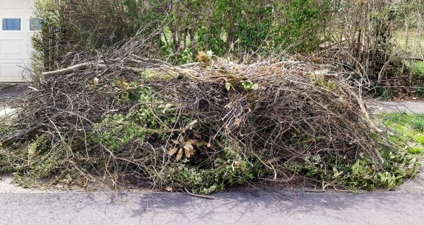 Tree Limb Cleanup in Hattiesburg