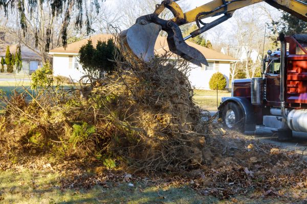Storm Debris Removal in Hattiesburg
