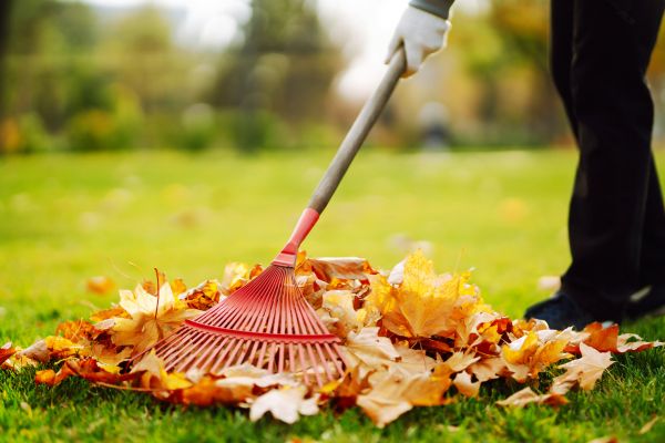 Ditch Leaf Removal in Hattiesburg