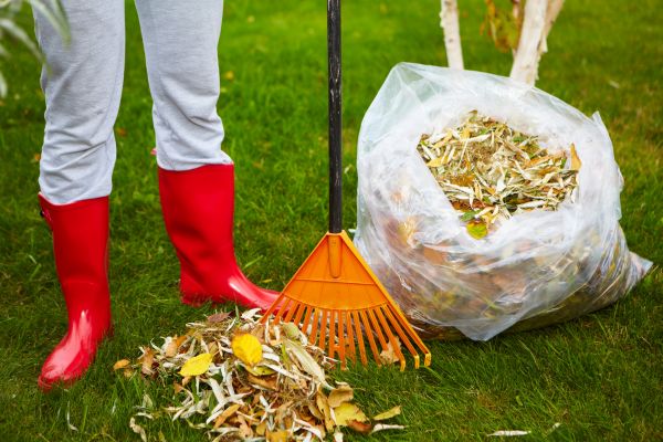 Leaf Disposal Service in Hattiesburg