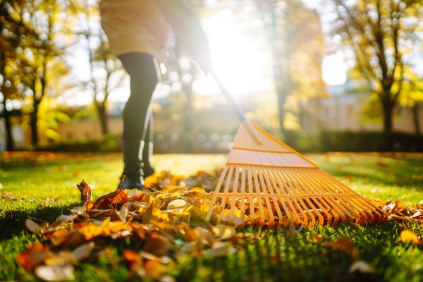 Leaves Raking in Hattiesburg