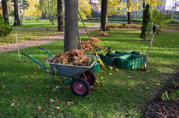 Leaf Clearing Service in Hattiesburg