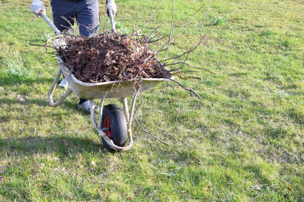 Yard Brush Removal in Hattiesburg