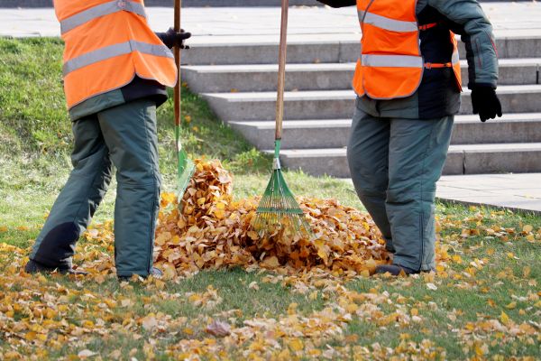 Leaf Hauling Service in Hattiesburg