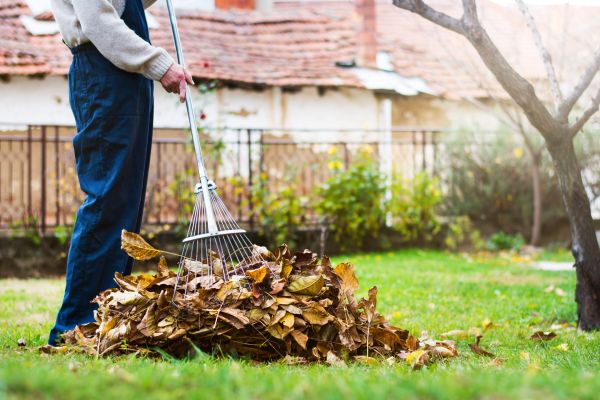 Spring Lawn Cleanup in Hattiesburg