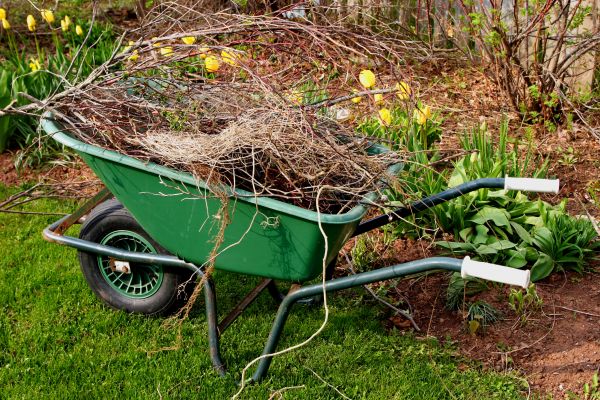Lawn Waste Removal in Hattiesburg