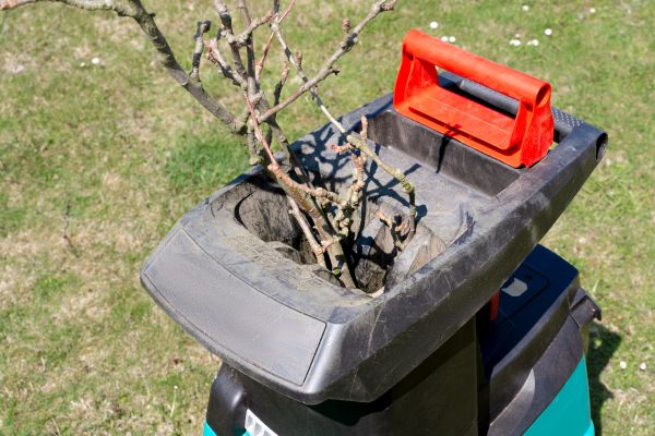 Cost of Brush Cleanup Service in Hattiesburg