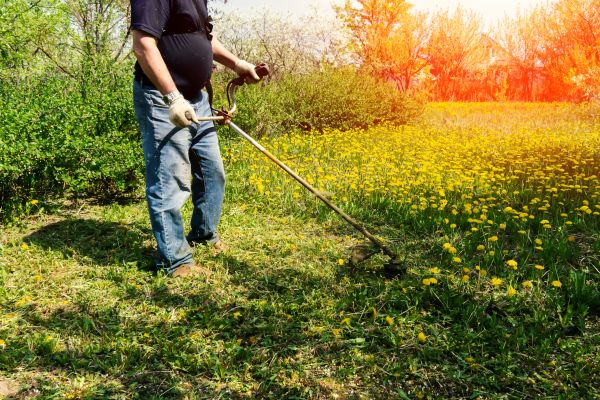 Yard Clearing Service in Hattiesburg