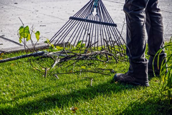 Yard Debris Cleanup in Hattiesburg