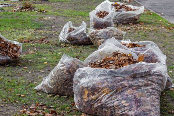 Leaf Pile Disposal in Hattiesburg