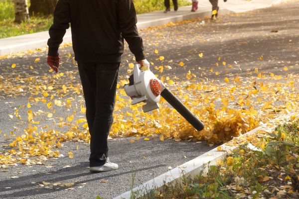 Commercial Leaf Removal in Hattiesburg