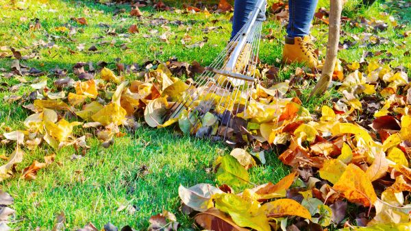 Lawn Cleanup Service in Hattiesburg